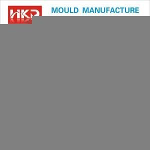 Plastic Thin Wall Injection Mould