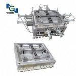 Tray Mold (NGP-6012) with High Quality in China
