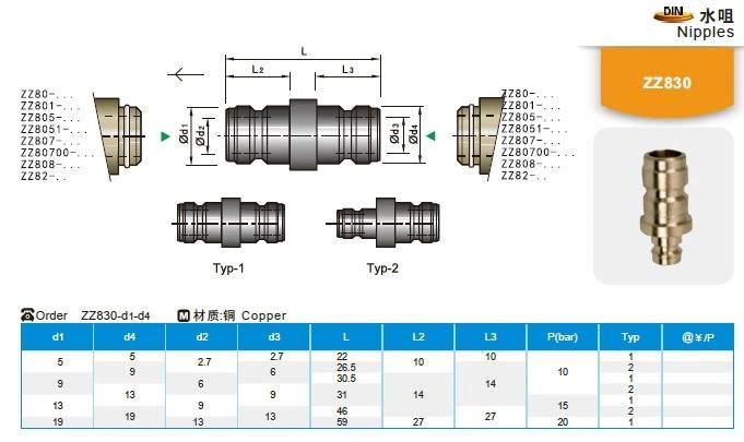 Manufacturer China Customized Plastic Injection Mold Parts DIN Standard Cooper Nipples Zz830