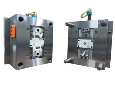 High Quality Customer Design Precision Injection Mold for Large Quantity Production