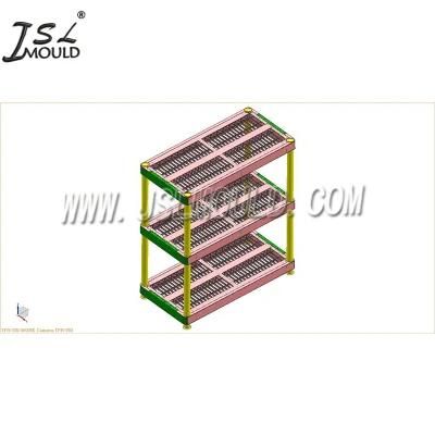 Experienced Injection Plastic Shelf Mold