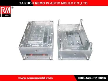 Plastic Car Battery Case Mould