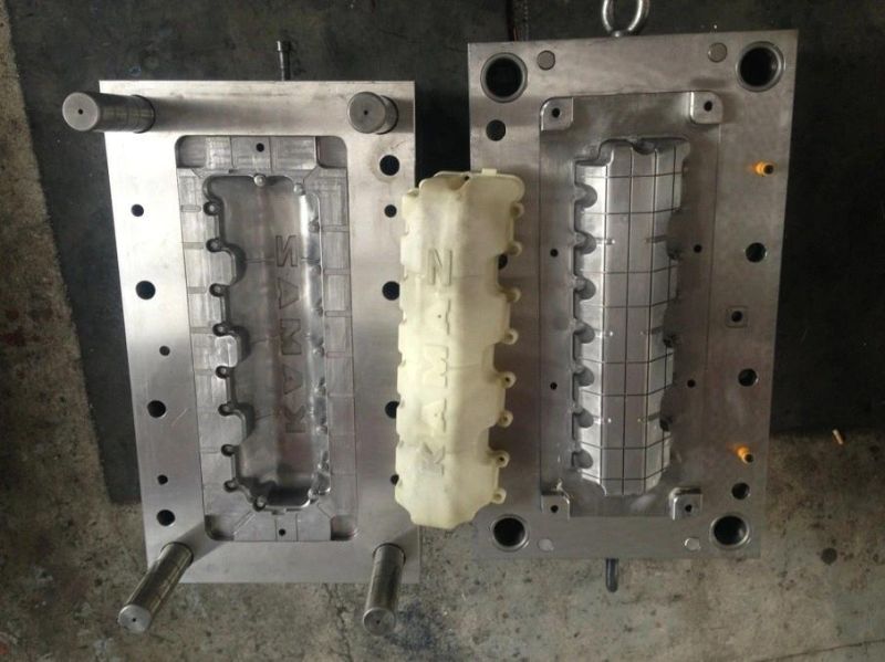 Customized Injection Moulds for Bucket