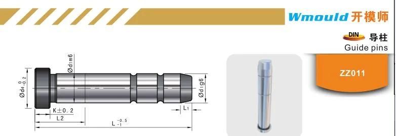 Zz011 DIN Standard Injection Molding Components Guide Pin