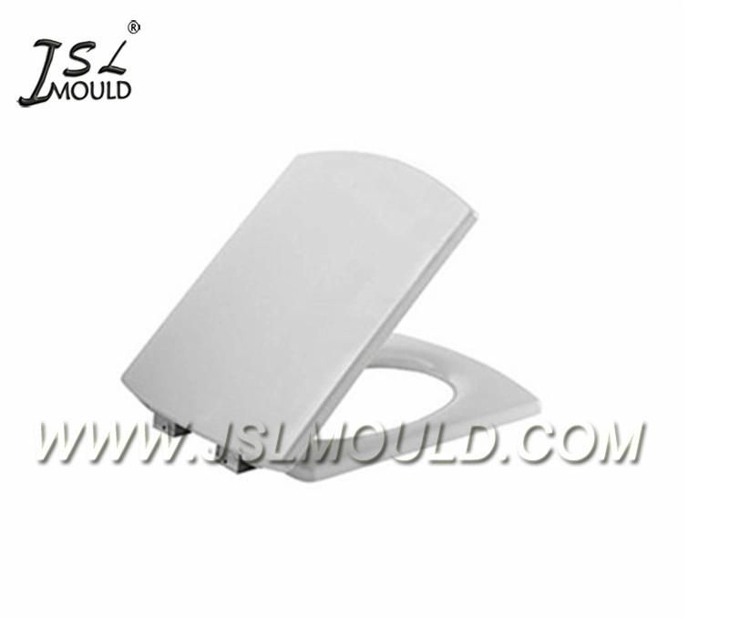 Injection Plastic Mould for Toilet Seat Cover Mould