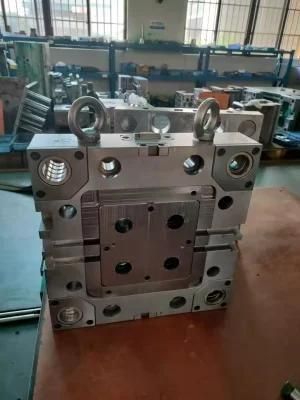 Custom Plastic Mold for LED Lamp Part with PMMA Plastics