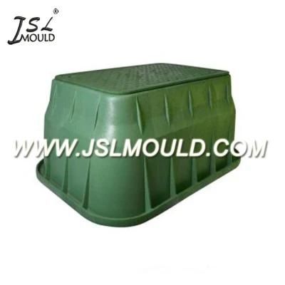 High Quality Plastic Injection Valve Box Mould