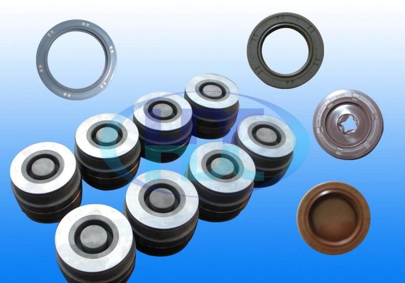 Custom Size Special Rotary Hydraulic Rubber Mechanical Oil Seals Mould