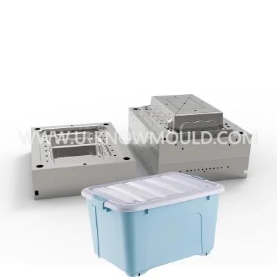 Professional Manufacturer Plastic Storage Box Mould in China