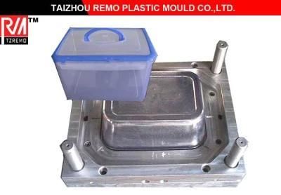 Plastic Container Mold