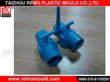 Plastic PPR Pipe Fitting Mould