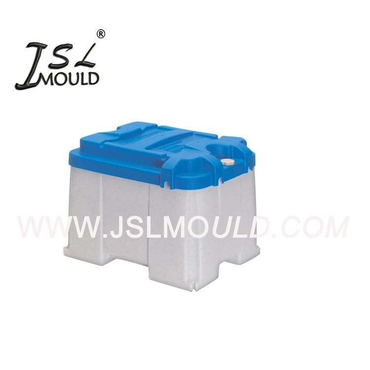 OEM Custome Injection Plastic Auto Battery Case Mould