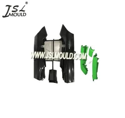 Top Quality Passion Plus Plastic Bike Tail Panel Mould