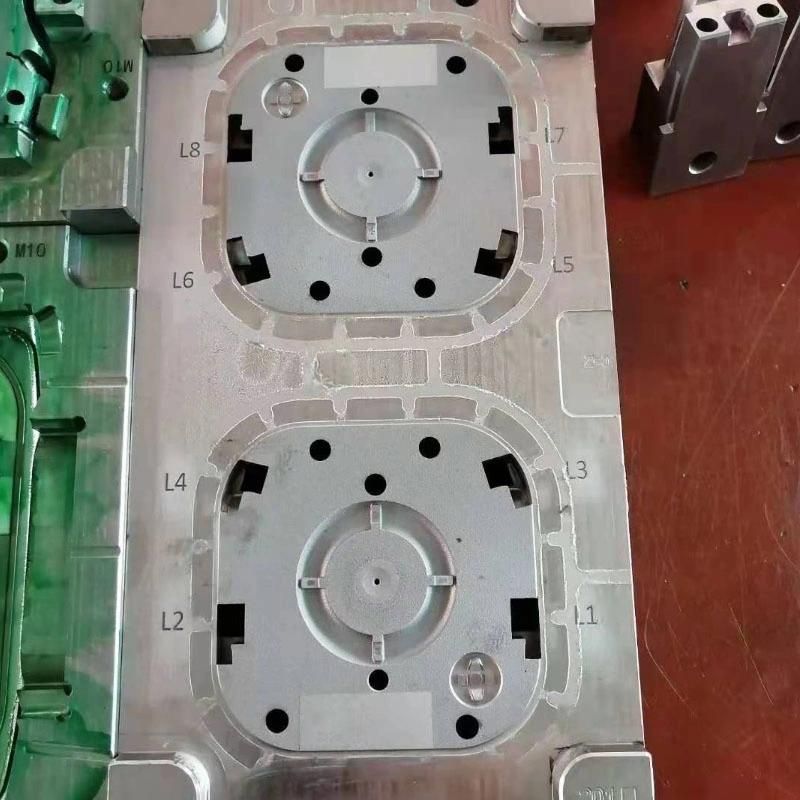OEM ODM Plastic Injection Mould for PMMA/Acrylic Auto Lamp