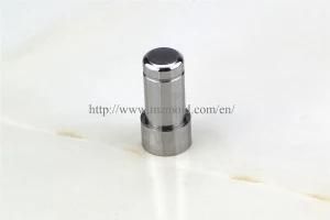 High Precision Leader Pin From China Munufacturer