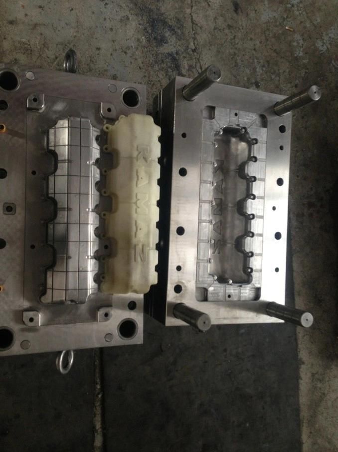 Injection Mold Maker for Auto Bumper