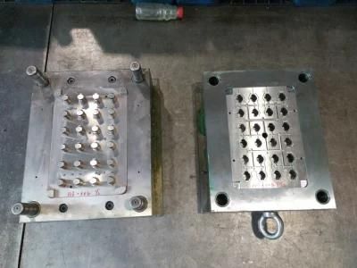 Plastic Mold for Mutil Cavity Plastic Parts Mould