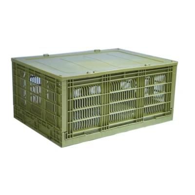 Nice Price Super Quality Salable Plastic Crate Mold Manufacturer Plastic Injection Molding