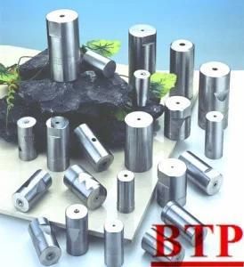Carbide Cold Forging Hardware Tools (BTP-P126)