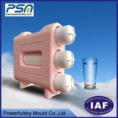 OEM/ODM Home Appliances Parts Water Purifier Housing Plastic Injection Mold