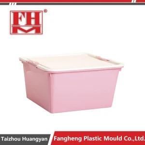 Plastic Clothes Storage Containing Box Molding