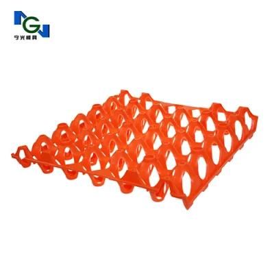 Injection Plastic Mould for Egg Holder