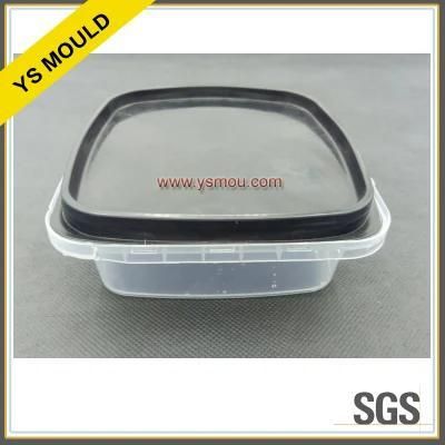 2 Cavities Plastic Food Preservation Box with Lid Mold