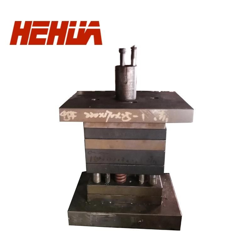 Nevs Door Sheet Metal Parts Stamping Die