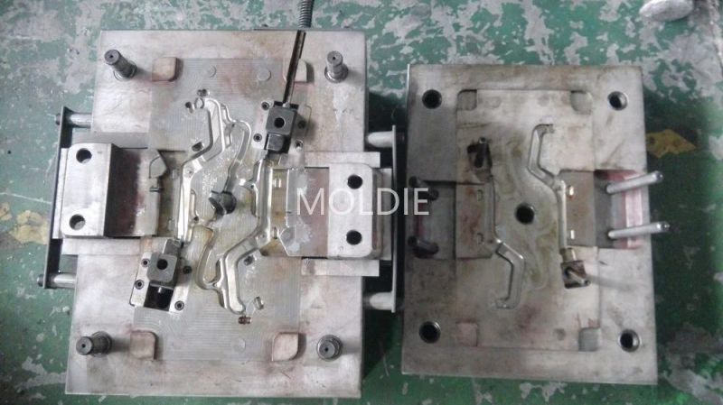 Customized/Designing Plastic Injection Mould with Cover