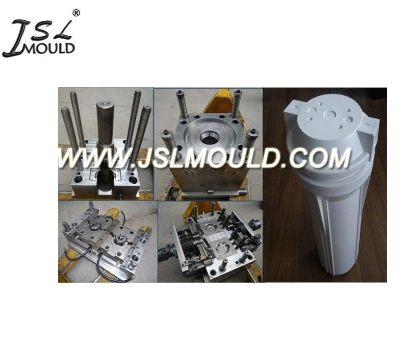 Experienced Injection Plastic Swift RO Water Purifier Cabinet Mold