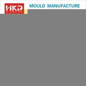 Auto Parts Plastic Injection Mold