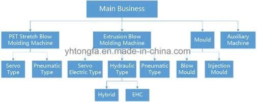 Plastic Blowing Molds for Various Plastic Bottle Production Manufacturer