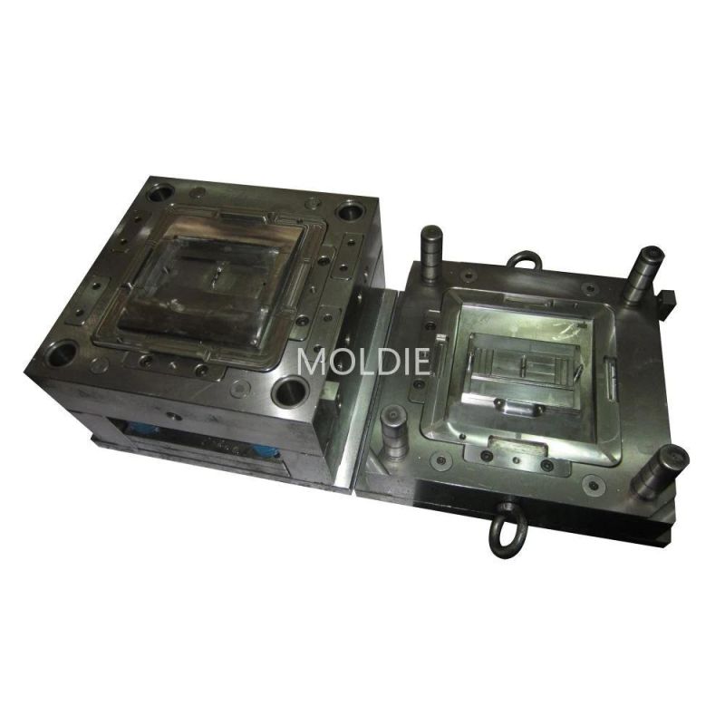 Customized/Designing Small Plastic Auto Part Injection Mold