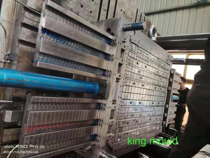 Plastic Tray Double Side Industrial Injection Pallet Mould