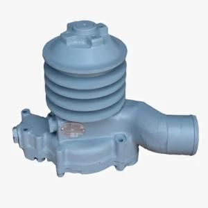 Water Pump with Lost Foam Casting for Auto Parts