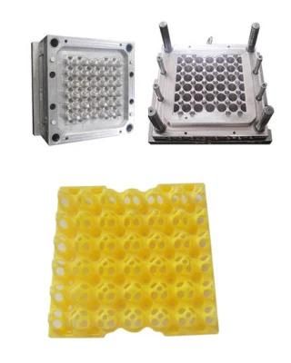 Plastic Egg Tray Mould in China