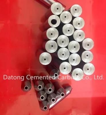 Production of Precision 0.3 Small Hole Cold Heading, Rivet, Screw Mold