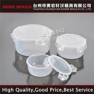 China Shine Plastic Injection Mould Transparent