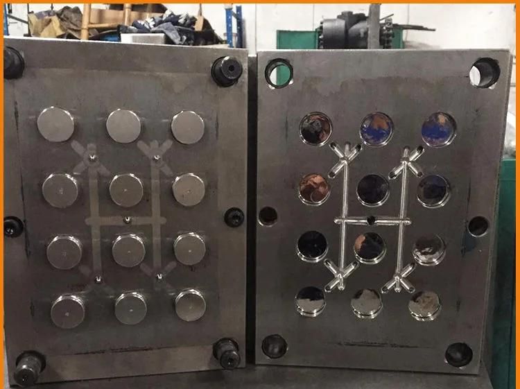 Plastic Molding for PE PP Cup