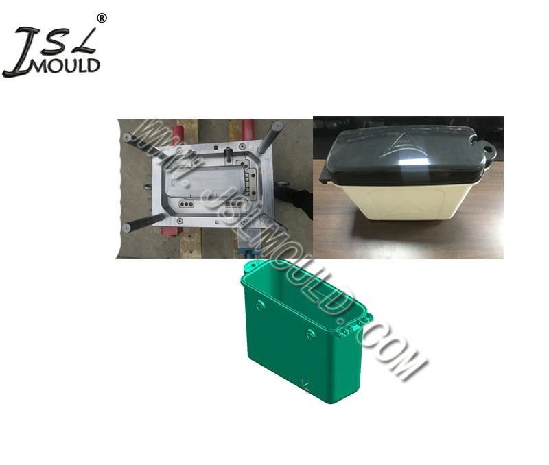 Taizhou Professional Custom Plastic Two Wheeler Front Shield Mould