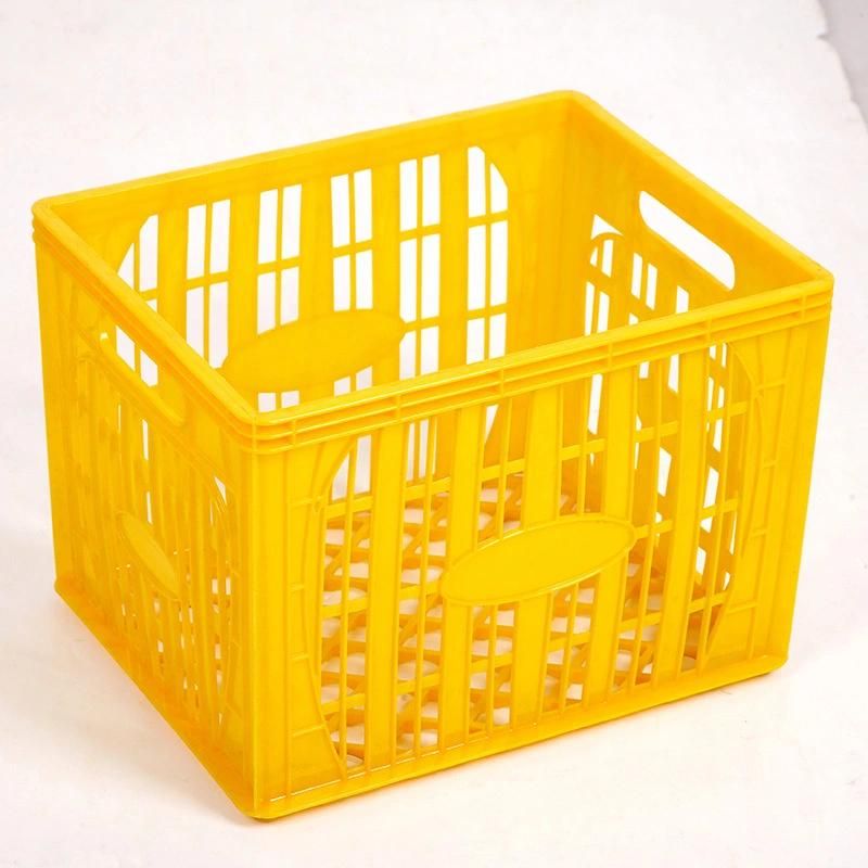 Plastic Mold for Transparent PE Lunch Box