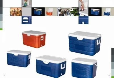 Cooler Box Moulds