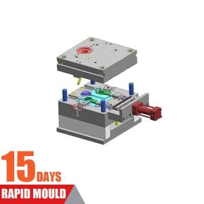Factory Professional in Making Mold Injection Mould Moulding Parts