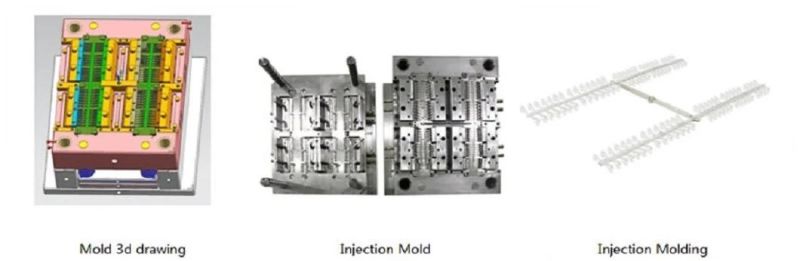 Plastic Injection Mould for Teeth Crowns