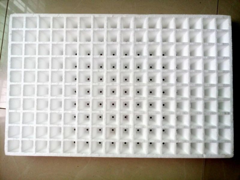 Customize EPP Seeding Tray Making Mould