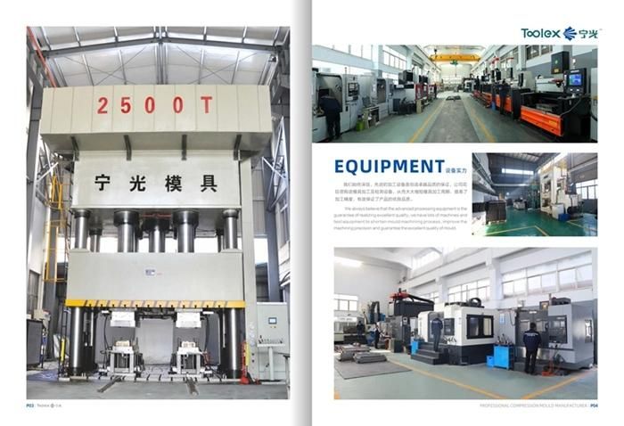 Air Conditioner Mould