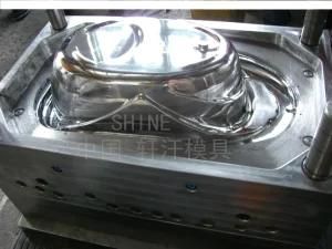 Shine Baby Tub-Plastic Injection Furniture Mold