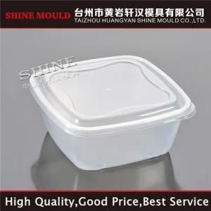 China Shine Plastic Injection Mould Transparent Basket