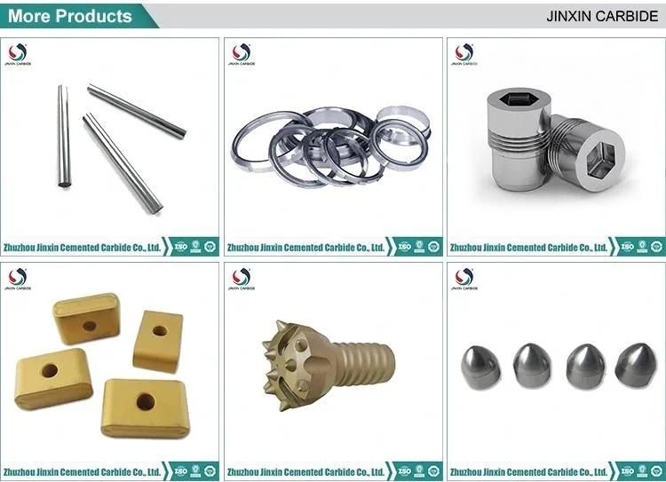 Cemented Carbide Wire Drawing Dies Mould