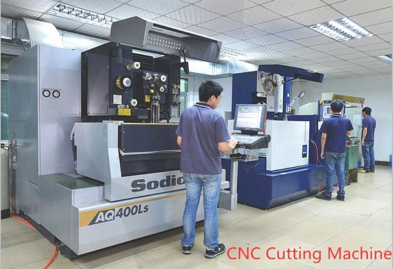 Custom Precision High Quality Plasic Parts for Plastic Mold/Mold Components